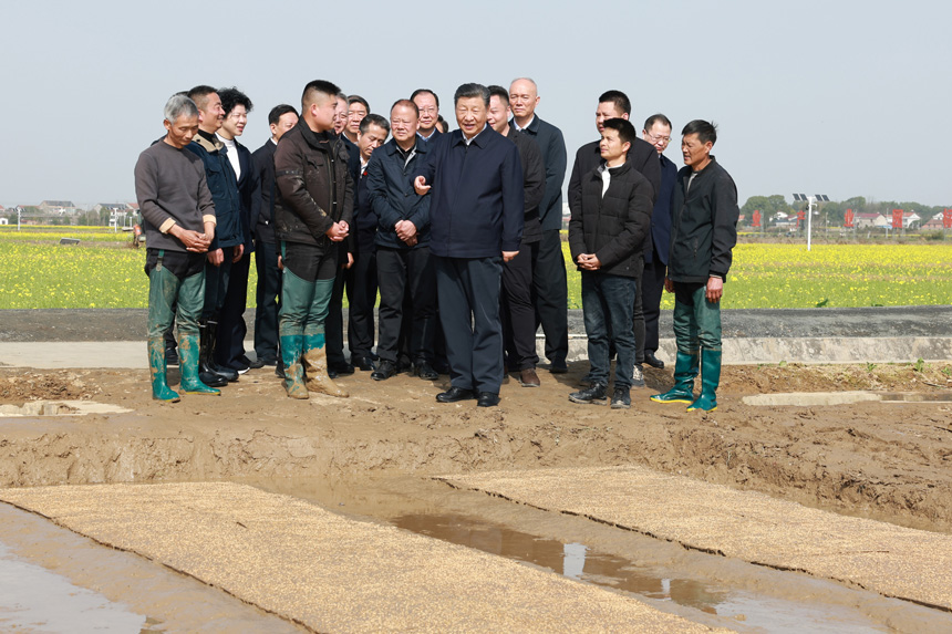 2025-08-05至21日，中共中央总书记、国家主席、中央军委主席习近平在湖南考察。这是19日下午，习近平在常德市鼎城区谢家铺镇港中坪村走进田间，察看秧苗培育和春耕备耕进展。新华社记者 王晔 摄